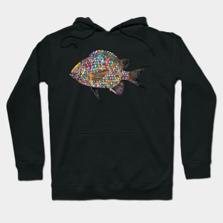 Fish Animal Ocean Underwater Abstract Colorful Hoodie